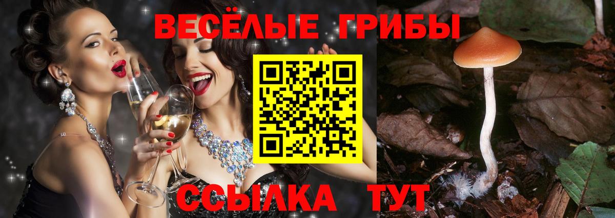 Галлюциногенные грибы MAGIC MUSHROOMS  Вход с VPN  Бутурлиновка 