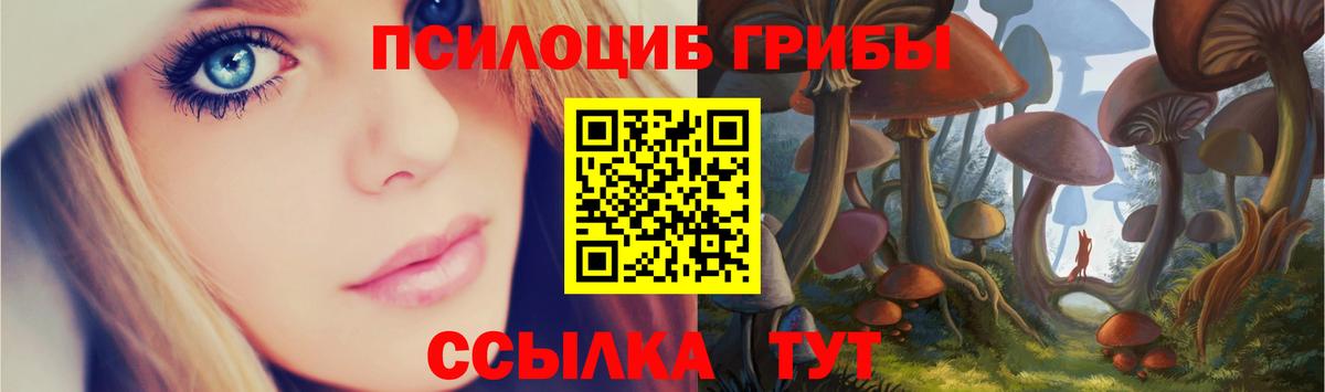 Псилоцибиновые грибы Psilocybine cubensis Бутурлиновка